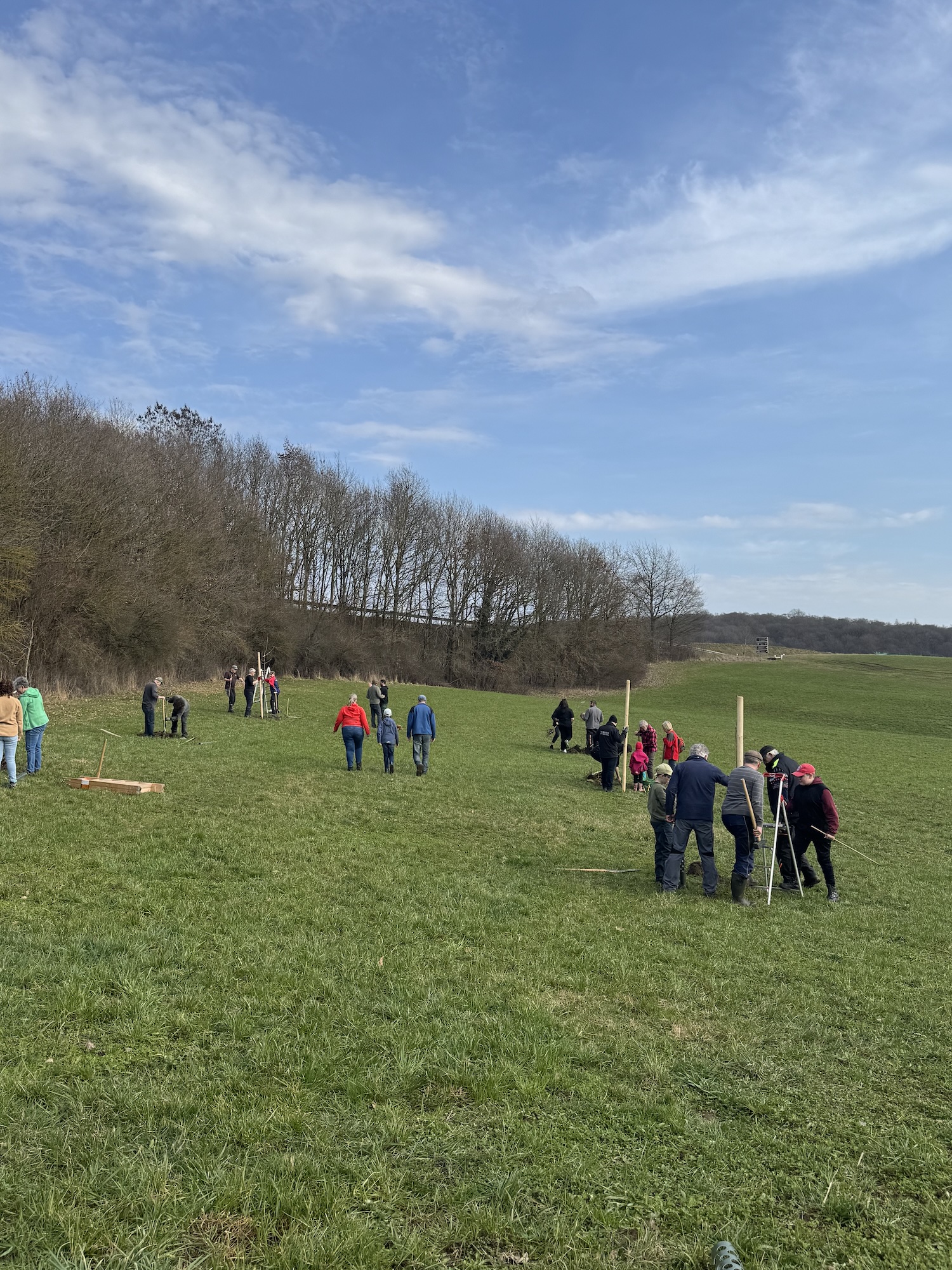 Regionale Obstsorten wurden auf einer Wiese am Ortsrand gepflanzt