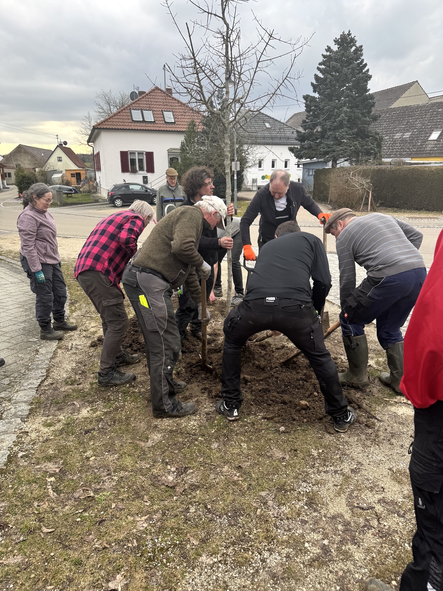 Und an der Bushaltestelle in der Ortsmitte wurde ein Baum gepflanzt