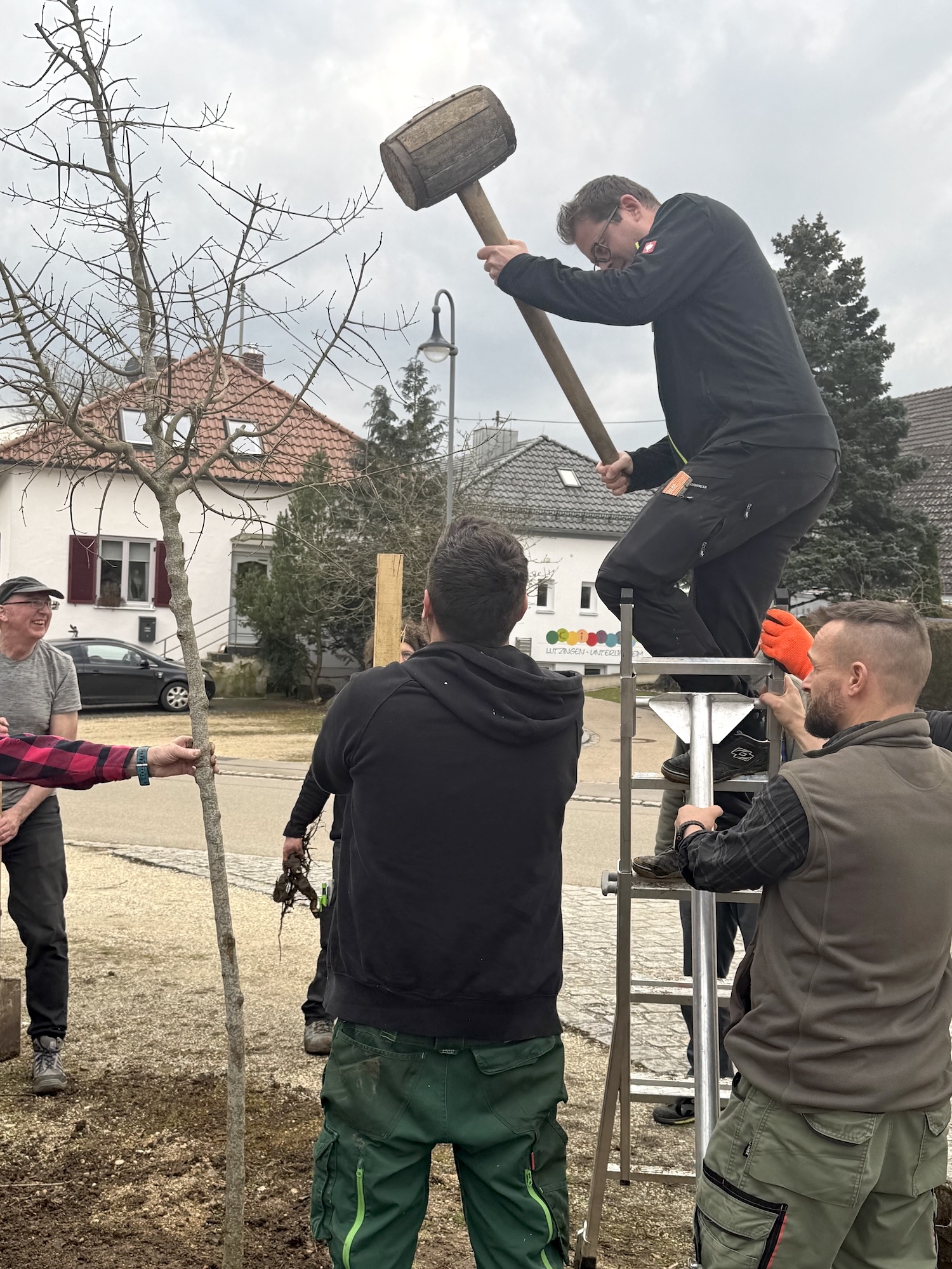 Und an der Bushaltestelle in der Ortsmitte wurde ein Baum gepflanzt