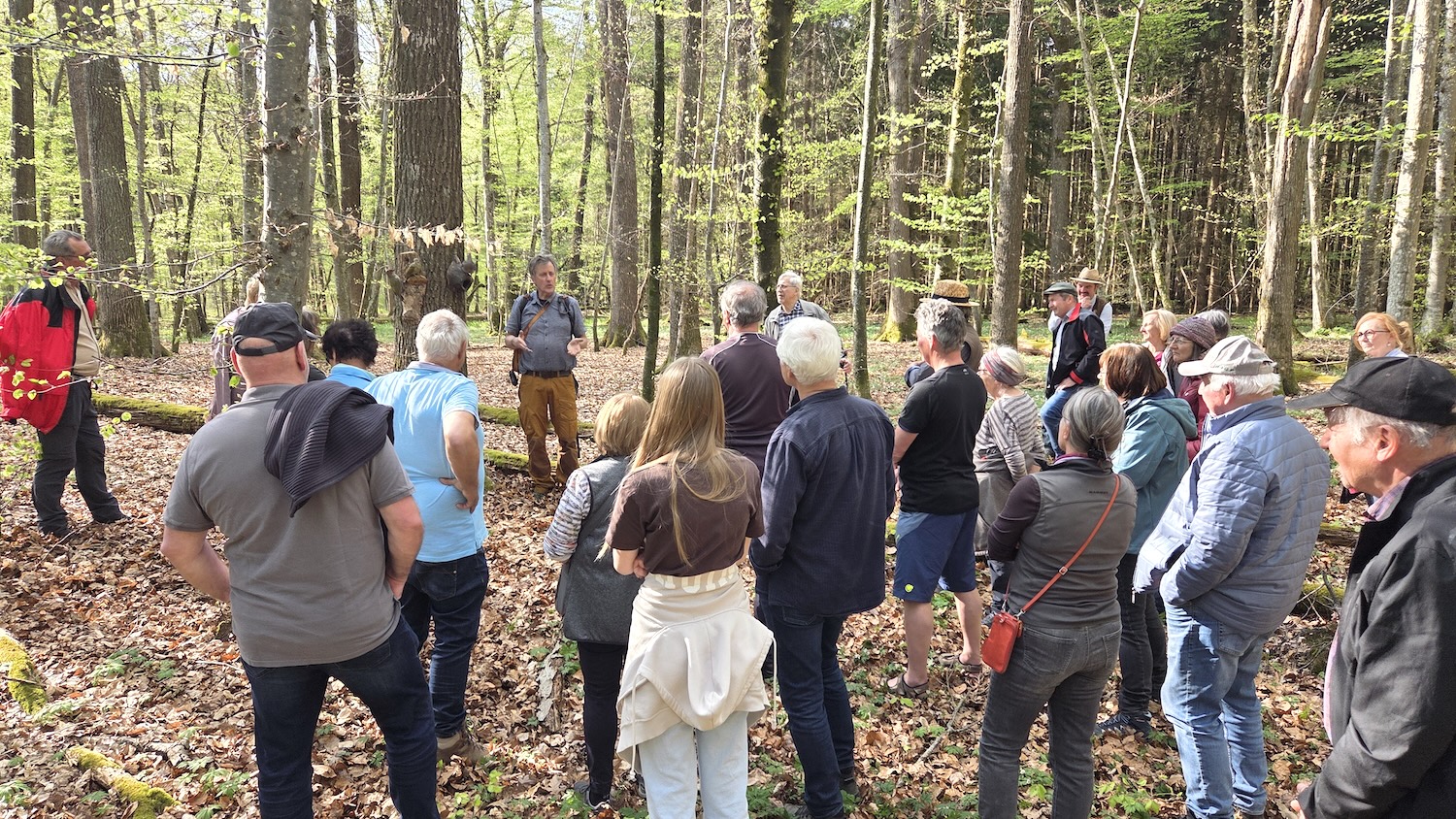 Hermann Rupp gibt einen Einblick in die Themen Waldnaturschutz und Waldbewirtschaftung